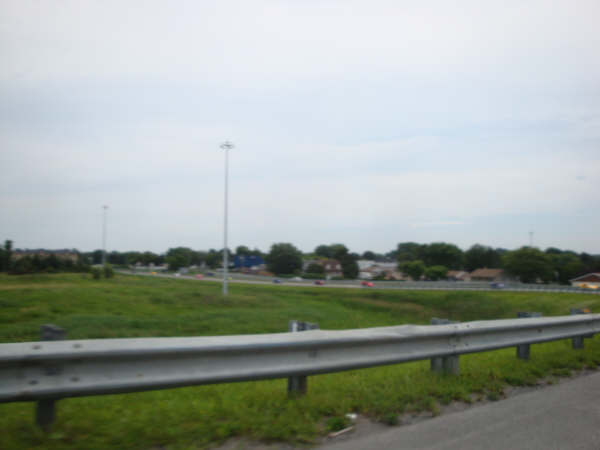 TRexMontreal034.jpg