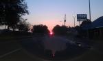 IMAG1306