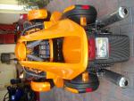 Miami Rex Ryders