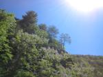 Deals Gap 2010 121