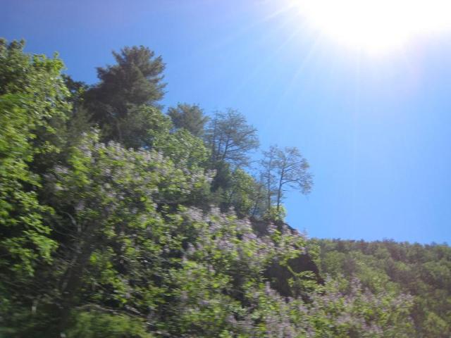 Deals Gap 2010 121